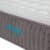 detalle dorsal